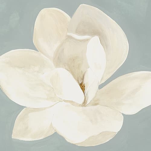 White Magnolia on Soft Blue Art Print