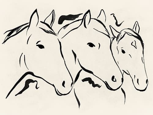 Three Graceful Horse Profiles Art Print by Lily K