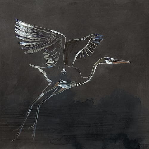 Majestic Heron in Flight Art Print by Lily K