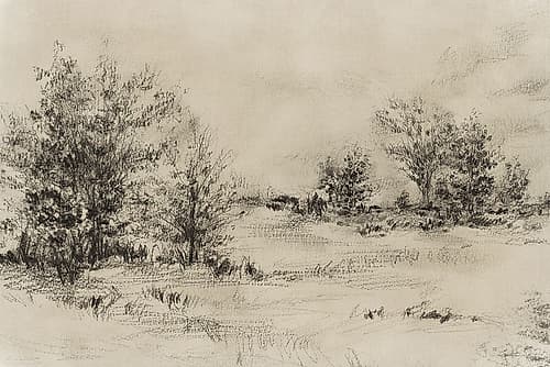 Landscape in Soft Charcoal Tones Art Print by Lily K