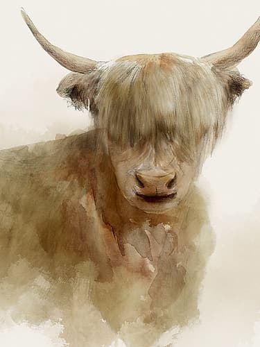 Gentle Gaze of the Highland Art Print