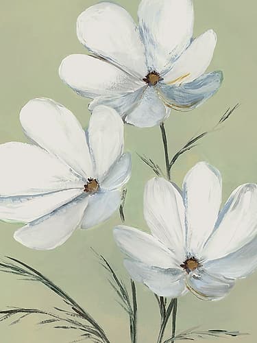 White Blooms Against Soft Green II Art Print by Lily K