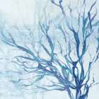 Blue Coral Life Art Print by PI Studio