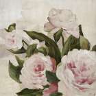 Roseate Whisper Art Print by PI Studio