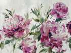 Pink Peony Embrace Art Print by PI Studio