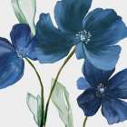 Blue Blossoms on White Canvas Art Print by PI Studio