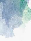 Natures Intricate Veil I Art Print by Pi Studio