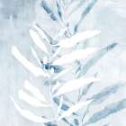 Seaweed Study I Art Print by PI Studio