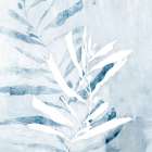Seaweed Study II Art Print by PI Studio
