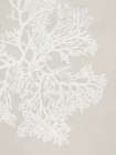 White Coral on Textured Canvas I Art Print by PI Studio