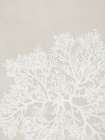 White Coral on Textured Canvas II Art Print by PI Studio
