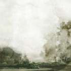 Misty Morning Over the Trees Art Print by PI Studio