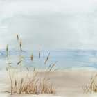 Beachside Grasses in Tranquil Light Art Print by PI Studio