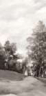 Pathway Through Tranquil Trees I Art Print by PI Studio
