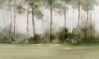 Misty Forest Morning Light Art Print by PI Studio