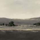 Misty Hillside with Dark Trees II Art Print by PI Studio
