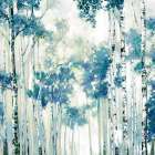 Birch Trees in Gentle Mist Art Print by PI Studio