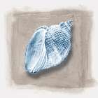 Blue Sea Life on Textured Canvas II Art Print by PI Studio