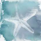 Nautical Whispers in Blue Hues II Art Print