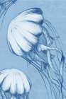 Underwater Life in Blue II Art Print
