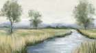 Tranquil Stream Through Lush Meadow Art Print