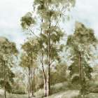 Pathway Through Tranquil Woods Art Print