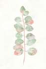 Florida Leaves I Botanical Print