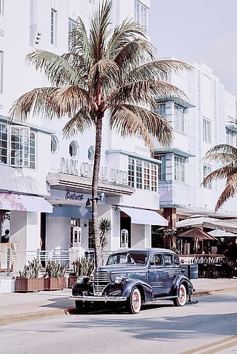 Miami Beach Park Central Hotel Coastal Print