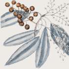 Vintage Blue Botanical IV Art Print