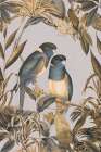 Golden Parakeets Exotic Island Art Print