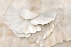 Organic Beauty Art Print