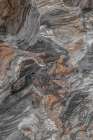 Driftwood Series II Abstract Art Print