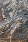 Driftwood Series V Art Print
