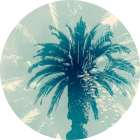 Blue Palm I Botanical Print