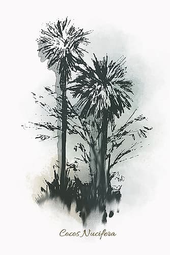Everglades IV Tropical Print