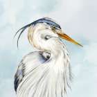 Portrait of Nature Art Print