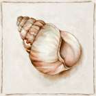 Pink Vintage Shell I Art Print