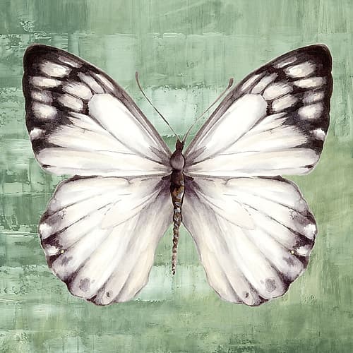 Green Butterfly I Art Print by Adam Jones