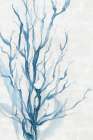 Oceanic Blue Seaweed Coastal Print