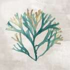Seaweed Melodies I Art Print