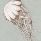 Jellyfish Swim Art Print