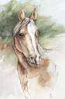 Equine Majesty Art Print