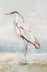 Great Heron Art Print