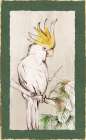 Yellow Cockatoo Landscape Print