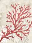 Red Coral Reef I Art Print