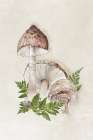 Mushroom Forest Sketch I Art Print