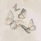 Butterfly Fly Art Print
