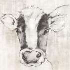 Calf Minimalist Print