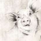 Pig Art Print