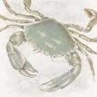 Green Crab Art Print